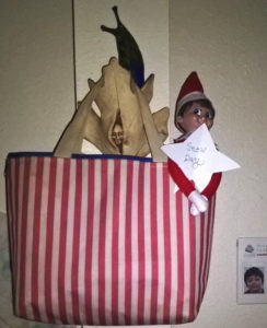 Elf in a bag