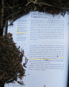 Censorship: Fungus from Tales from a Forager's Kitchen, by Johnna Holmgren