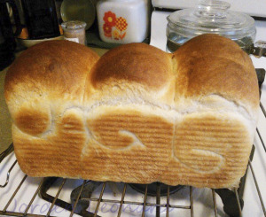Wife breadtastic