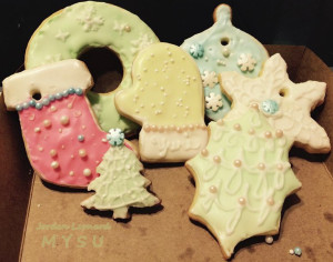 Pretty cookies Santa didn't eat