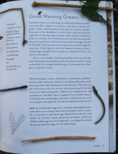 Censorship: Elderberry from Tales from a Forager's Kitchen, by Johnna Holmgren